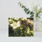 Viburnum Briefkaart (Staand voorkant)