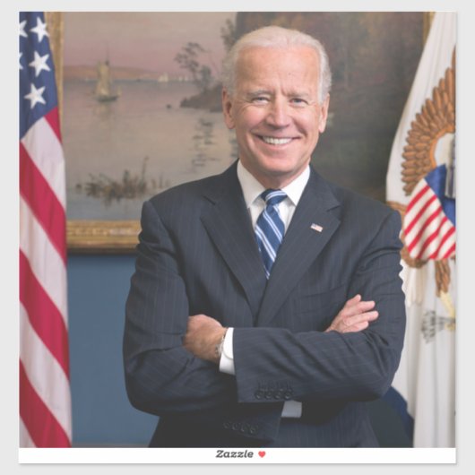 Vice-President Joe Biden van het Obama-voorzitters Sticker (Vel)