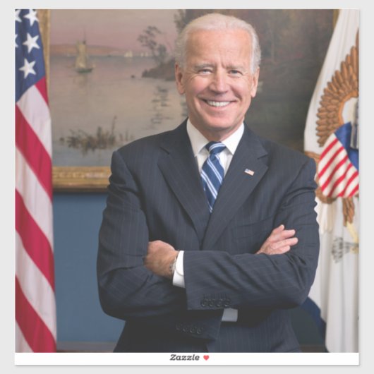 Vice-President Joe Biden van het Obama-voorzitters Sticker (Vel)