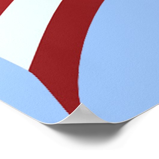 Vice Press Kamala Harris Vlag Vrijheidsbeeld Poster (Hoek)