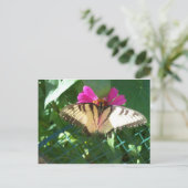 Viceroy Butterfly, 1 Briefkaart (Staand voorkant)