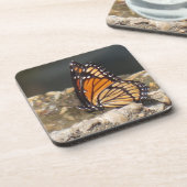 Viceroy Butterfly - 6 Onderzetters (Linkerzijde)