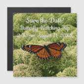 Viceroy Butterfly Beauful Natuur Fotografie (Voorkant / Achterkant)