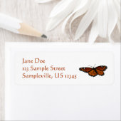 Viceroy Butterfly Beauful Natuur Fotografie Etiket (Insitu)