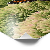 Viceroy Butterfly Beauful Natuur Fotografie Foto Afdruk (Hoek)