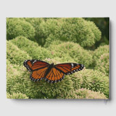 Viceroy Butterfly Beauful Natuur Fotografie Gastenboek (Achterkant)