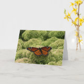 Viceroy Butterfly Beauful Natuur Fotografie Kaart (Gele Bloem)