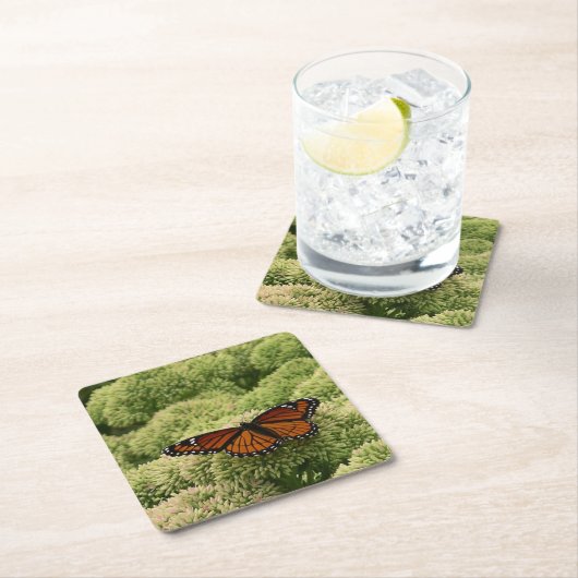 Viceroy Butterfly Beauful Natuur Fotografie Kartonnen Onderzetters (Insitu)