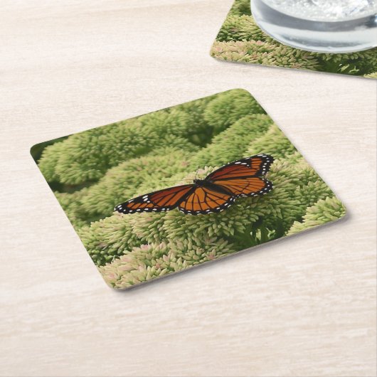 Viceroy Butterfly Beauful Natuur Fotografie Kartonnen Onderzetters (Schuin)