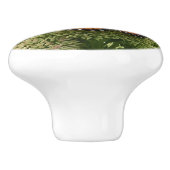 Viceroy Butterfly Beauful Natuur Fotografie Keramische Knop (Zijkant)