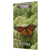 Viceroy Butterfly Beauful Natuur Fotografie Klembord (Links)