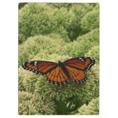 Viceroy Butterfly Beauful Natuur Fotografie Klembord (Achterkant)