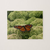 Viceroy Butterfly Beauful Natuur Fotografie Legpuzzel (Horizontaal)