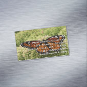 Viceroy Butterfly Beauful Natuur Fotografie Magnetisch Visitekaartje (Voorbeeld)