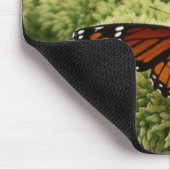 Viceroy Butterfly Beauful Natuur Fotografie Muismat (Hoek)