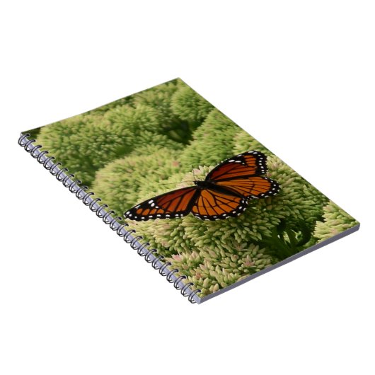 Viceroy Butterfly Beauful Natuur Fotografie Notitieboek (Rechterzijde)