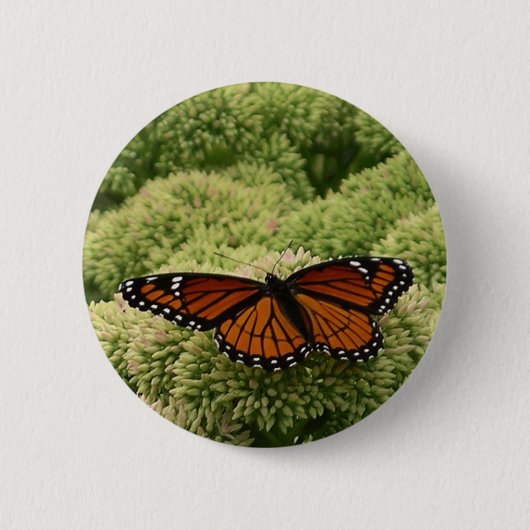 Viceroy Butterfly Beauful Natuur Fotografie Ronde Button 5,7 Cm (Voorkant)