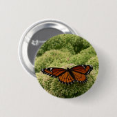 Viceroy Butterfly Beauful Natuur Fotografie Ronde Button 5,7 Cm (Voorkant /achterkant)