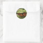 Viceroy Butterfly Beauful Natuur Fotografie Ronde Sticker (Tas)