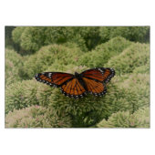 Viceroy Butterfly Beauful Natuur Fotografie Snijplank (Voorkant)