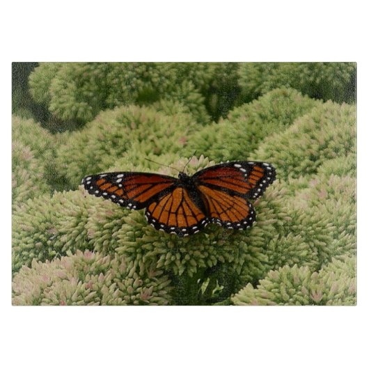 Viceroy Butterfly Beauful Natuur Fotografie Snijplank (Voorkant)