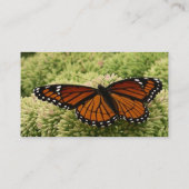 Viceroy Butterfly Beauful Natuur Fotografie Visitekaartje (Achterkant)