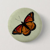 Viceroy Butterfly Button (Voorkant)