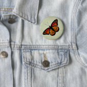 Viceroy Butterfly Button (In situ)