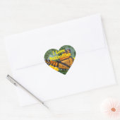 Viceroy Butterfly Stickers (Envelop)