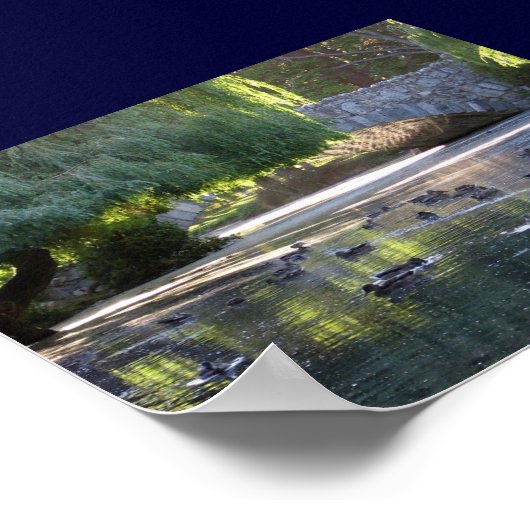 Victoria, B.C. Poster (Hoek)