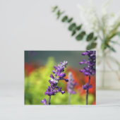 Victoria Blues Briefkaart (Staand voorkant)