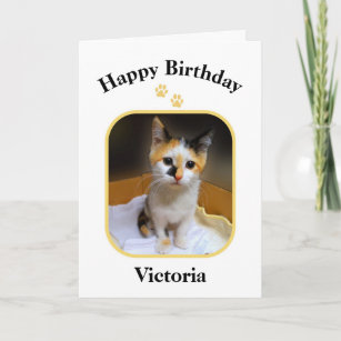Victoria Calico Kitten Gelukkige Verjaardag Kaart