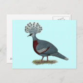 Victoria Crowned Pigeon Briefkaart (Voorkant / Achterkant)