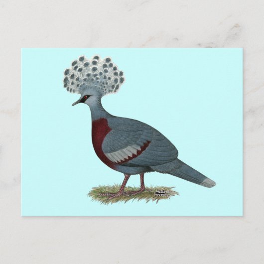 Victoria Crowned Pigeon Briefkaart (Voorkant)