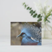Victoria Crowned Pigeon Briefkaart (Staand voorkant)