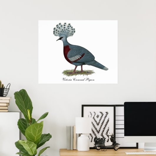 Victoria Crowned Pigeon Poster (Thuiskantoor)