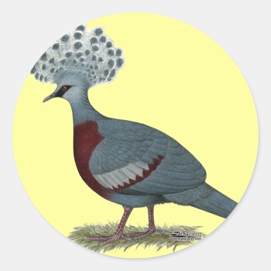 Victoria Crowned Pigeon Ronde Sticker (Voorkant)