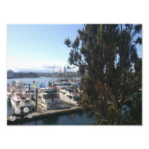 Victoria Harbor Foto Afdruk