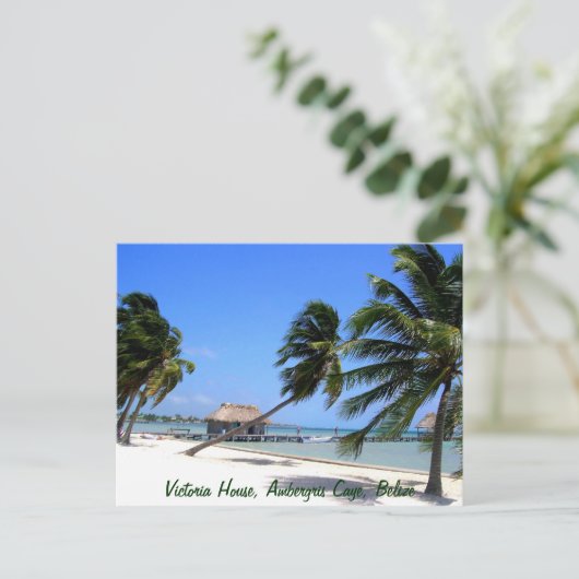 Victoria House Ambergris Caye Belize Briefkaart (Staand voorkant)