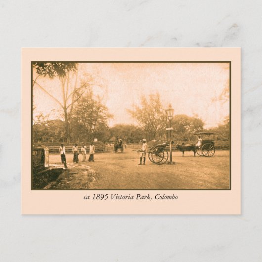 Victoria Park Colombo Ceylon (Sri Lanka) Briefkaart (Voorkant)
