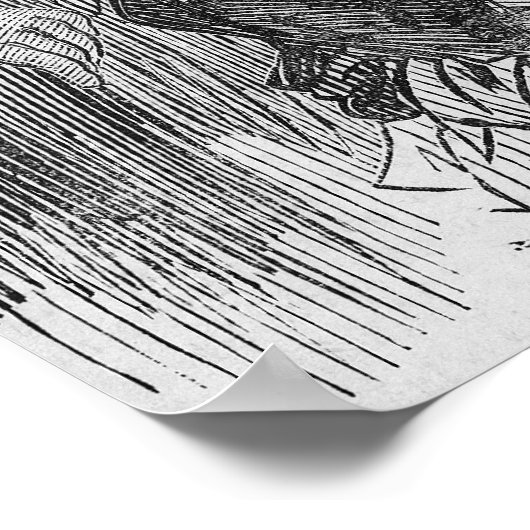 Victoria Woodhull Poster (Hoek)