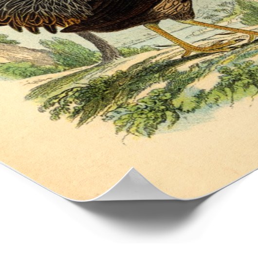  Victoriaans afdrukserver voor boeren Poster (Hoek)