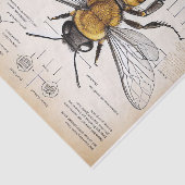  Victoriaans bijenuitleg Tissuepapier (Detail)