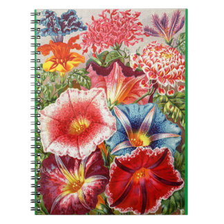 Victoriaans bloemenspiraal Notitieboek Morning Glo