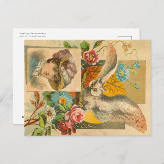 Victoriaans boomkor briefkaart (Voorkant / Achterkant)