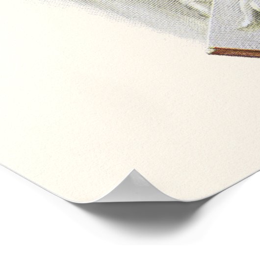  Victoriaans Bride met bijbelse Harrison Fisher Poster (Hoek)