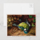  Victoriaans Briefkaart met dode vogels (Voorkant / Achterkant)