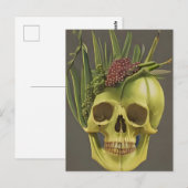 Victoriaans Briefkaart voor schedel, afdruk en dru (Voorkant / Achterkant)