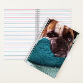Victoriaans Bulldog Foto 8x5 Notitieboek (Binnen)