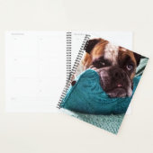 Victoriaans Bulldog Photo 8x11 Notitieboek (Display)